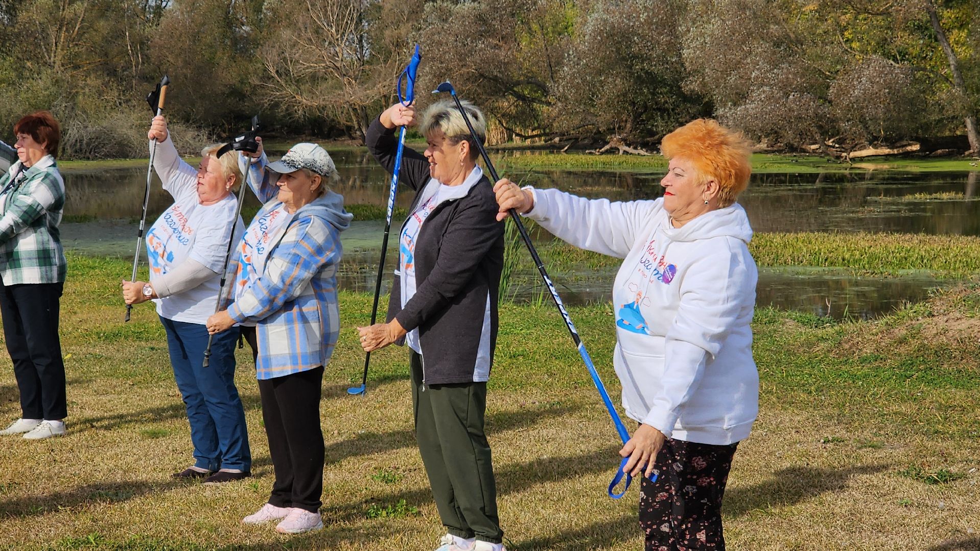 Бронницы, Парк Бронницкий Луг, Активное долголетие, Обустройство парка,