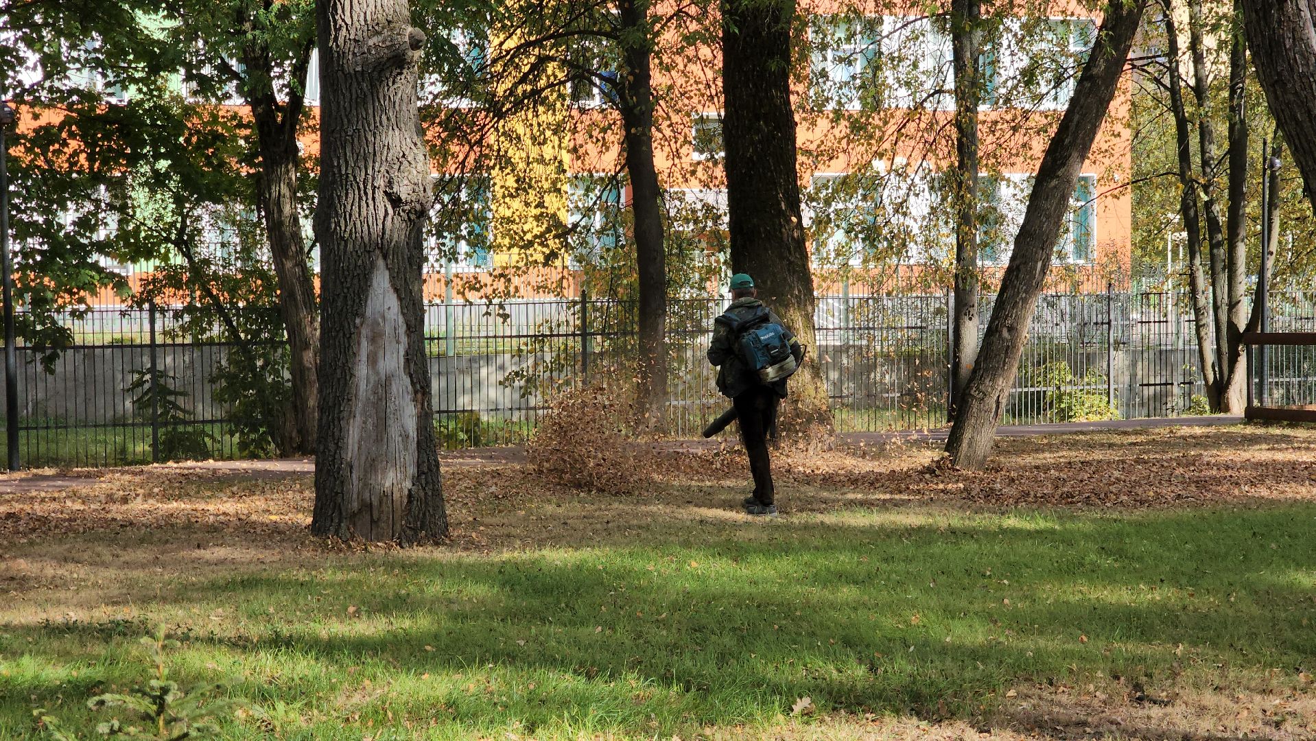 ступино, парки подмосковья, осень в парках,