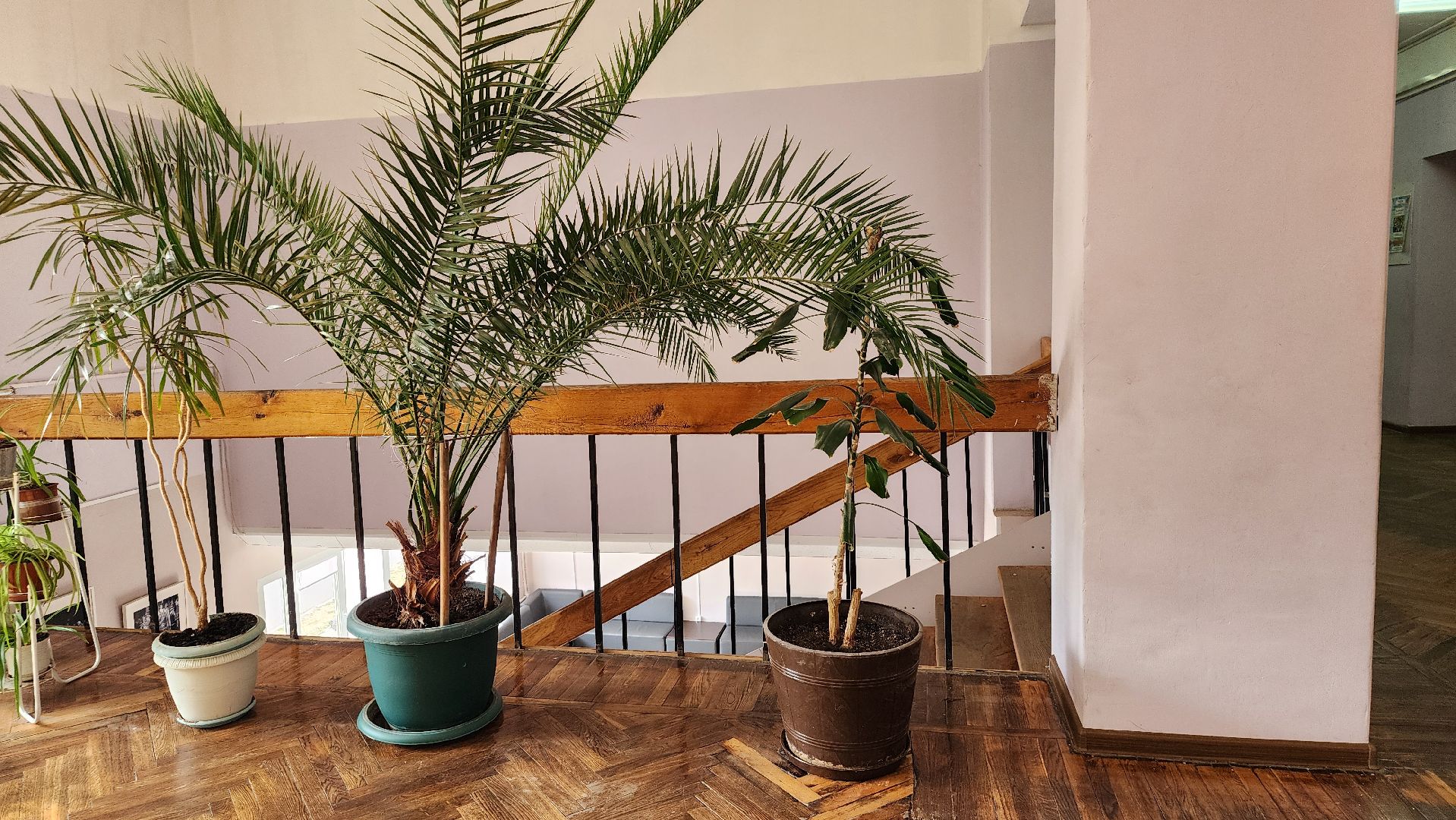 творческий сезон, центр культуры, творчество, Старая Купавна, Богородский городской округ,