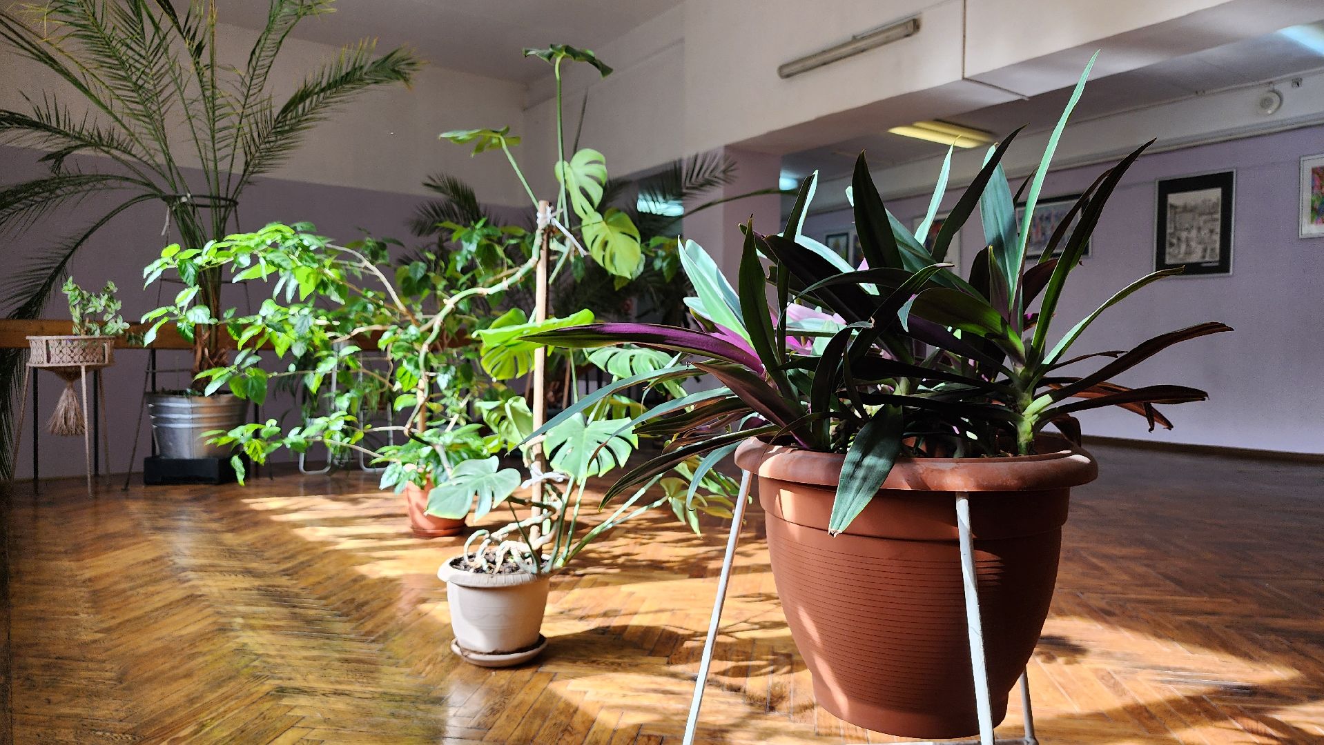 творческий сезон, центр культуры, творчество, Старая Купавна, Богородский городской округ,