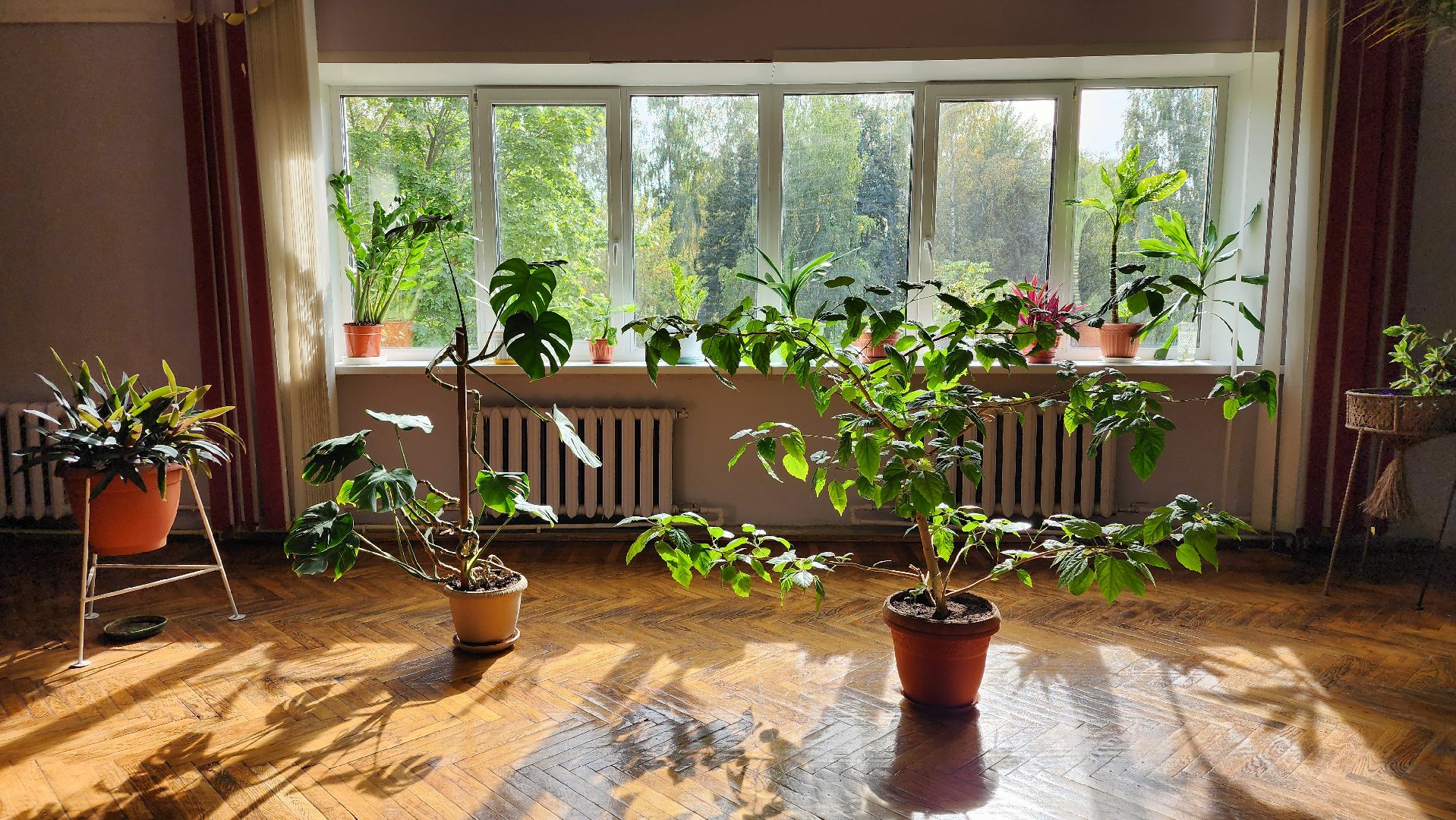 творческий сезон, центр культуры, творчество, Старая Купавна, Богородский городской округ,