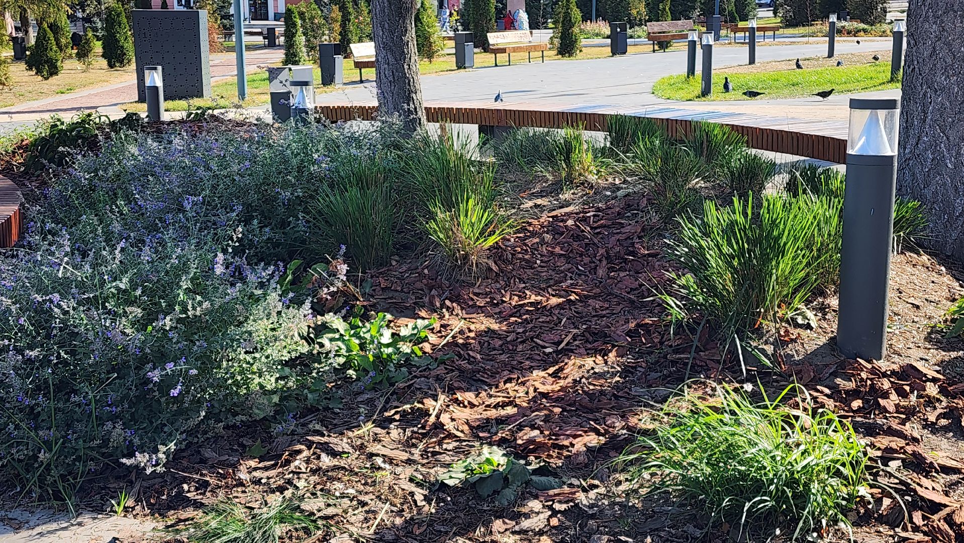 Бронницы, Площадь Тимофеева, Осенняя уборка площади, МБУ Благоустройство, Обустройство площади Тимофеева,