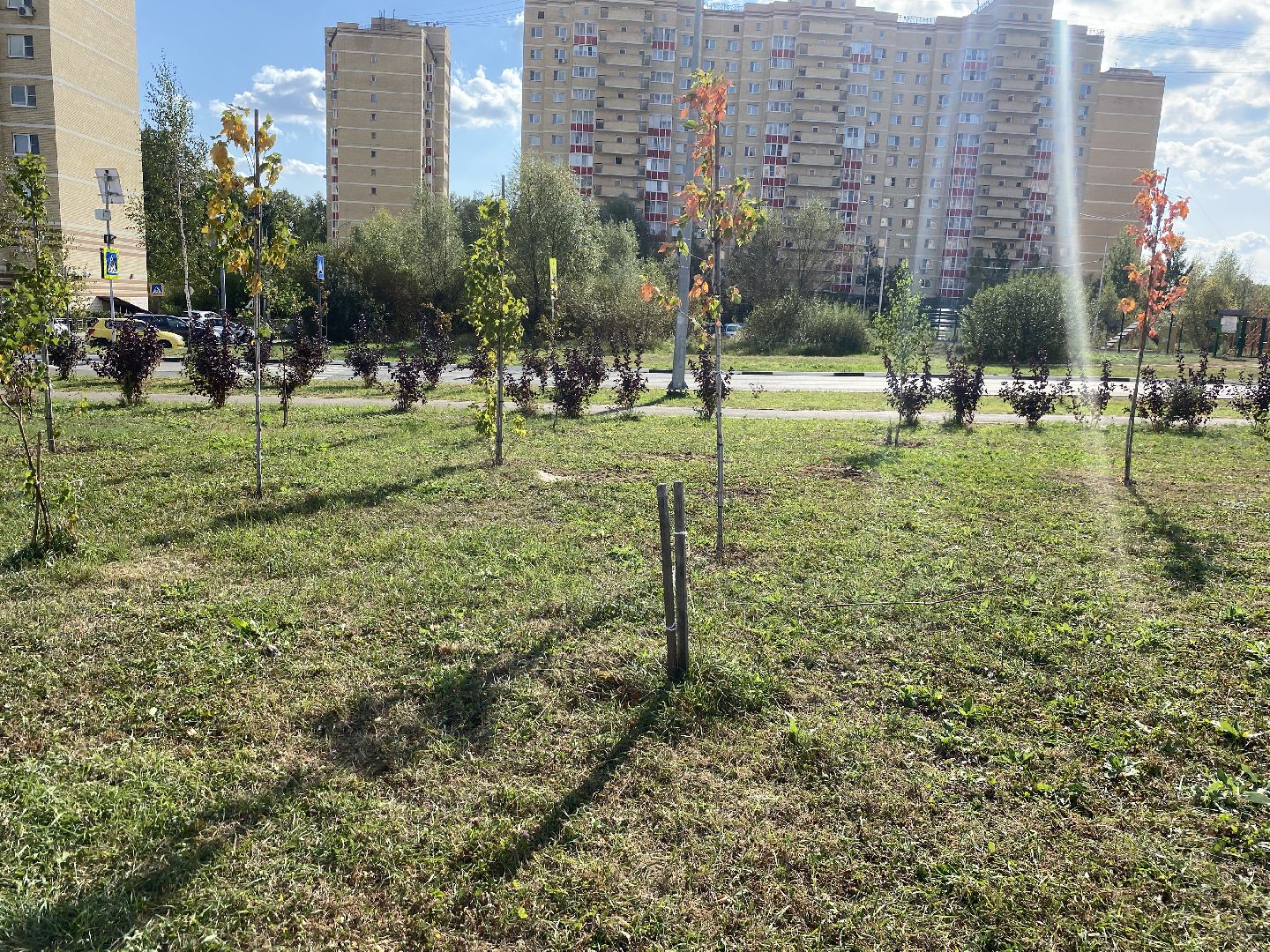 благоустройство территории, власиха Тополек, власиха Школьный, обход территории, обращения жителей,