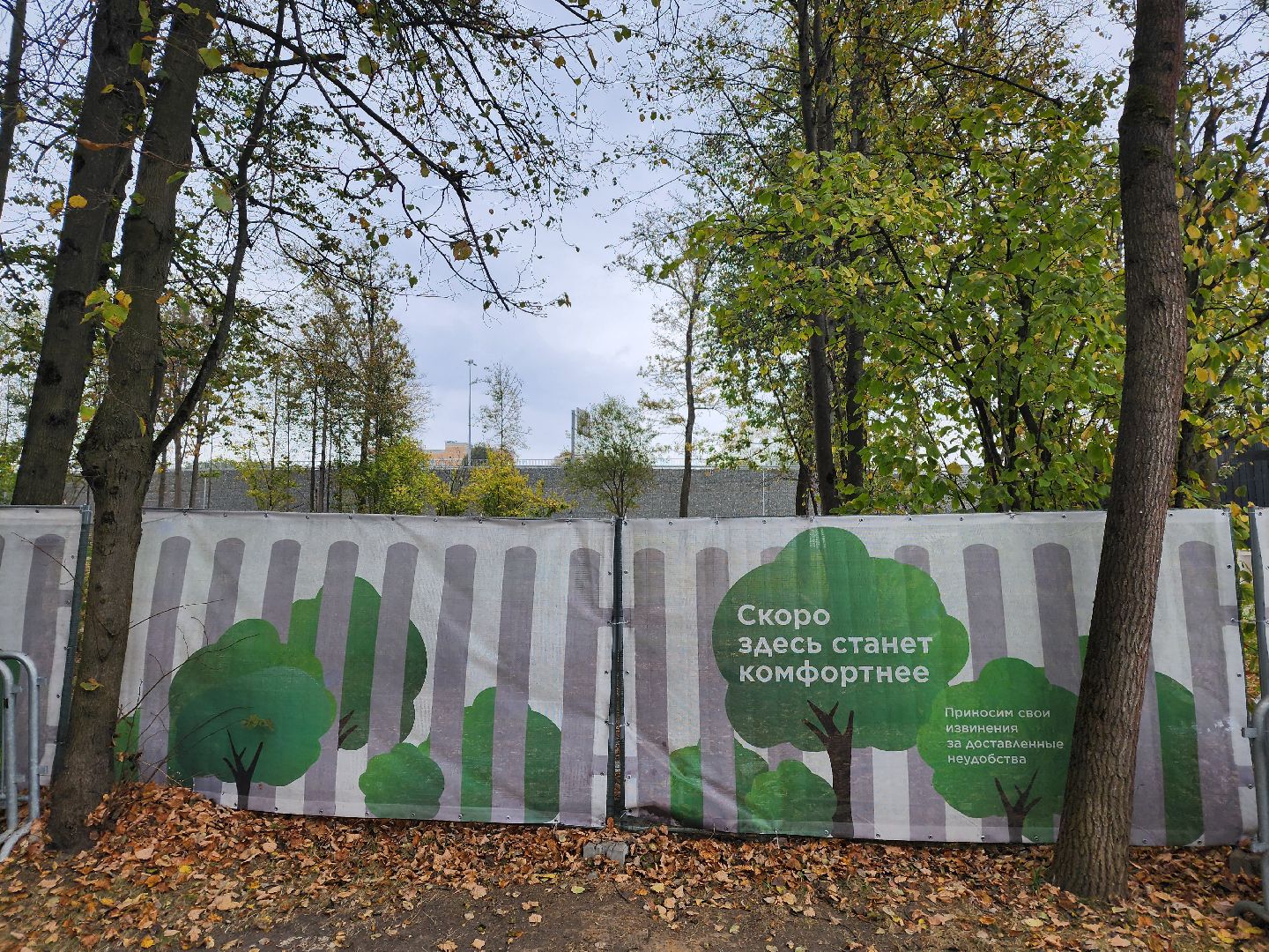 одинцово, благоустройство, парк имени лазутиной, каток, кафе, ресторан, зима, парковка, лето в подмосковье, зима в подмосковье,