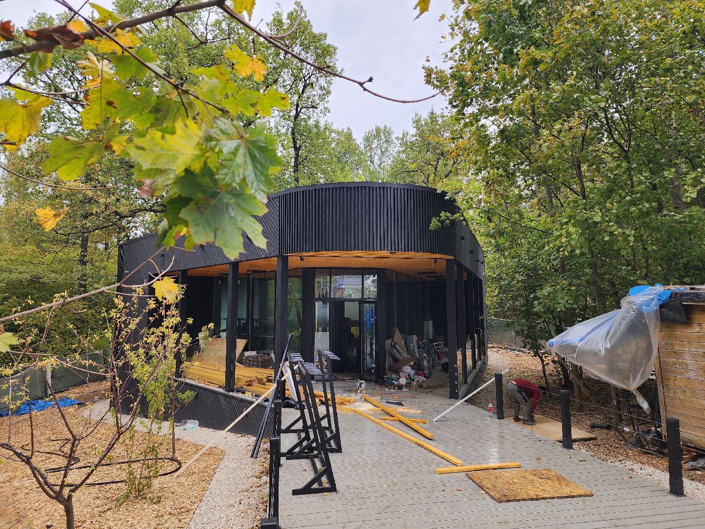 одинцово, благоустройство, парк имени лазутиной, каток, кафе, ресторан, зима, парковка, лето в подмосковье, зима в подмосковье,