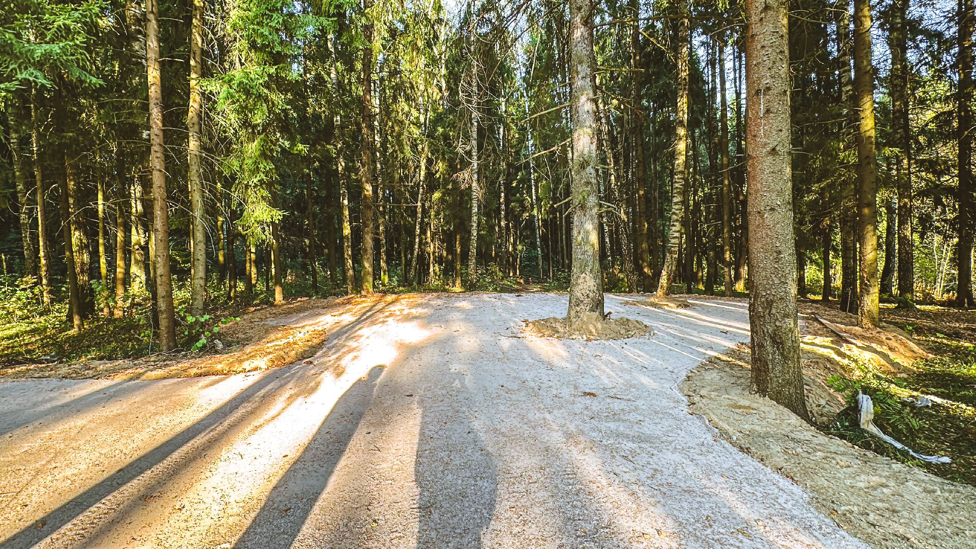 Клин, общество, Подмосковье, благоустройство, лесопарк,
