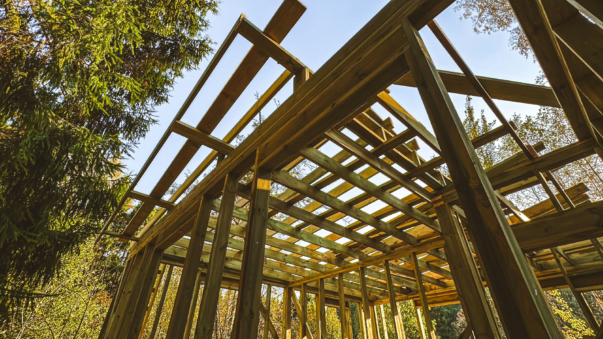 Клин, общество, Подмосковье, благоустройство, лесопарк,