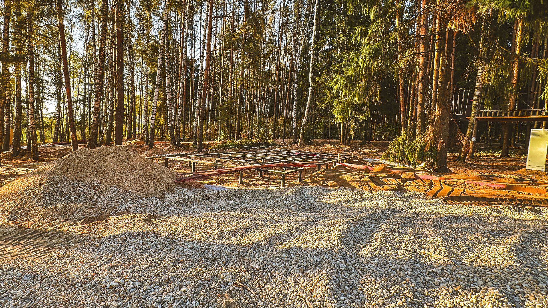 Клин, общество, Подмосковье, благоустройство, лесопарк,