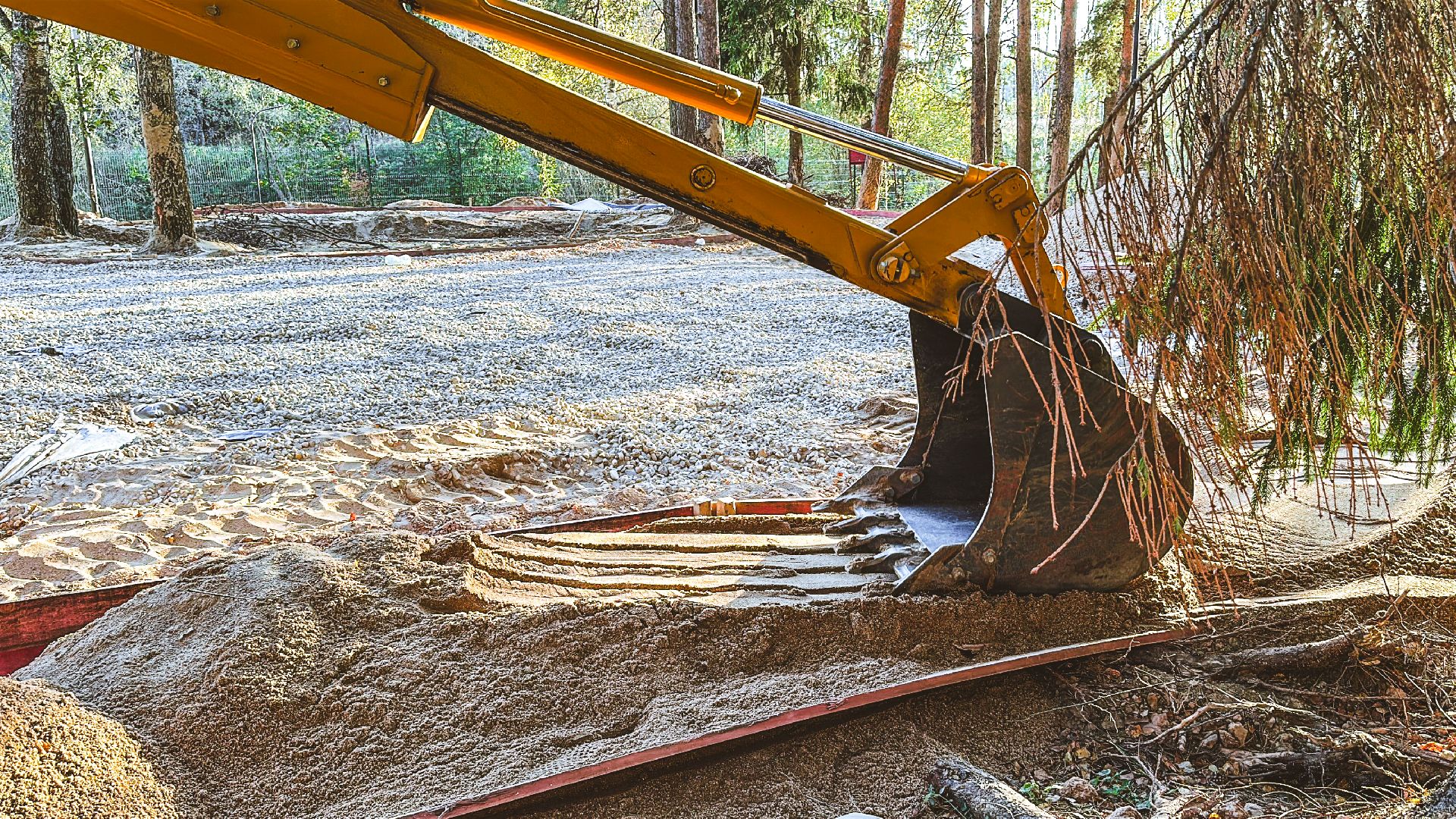 Клин, общество, Подмосковье, благоустройство, лесопарк,
