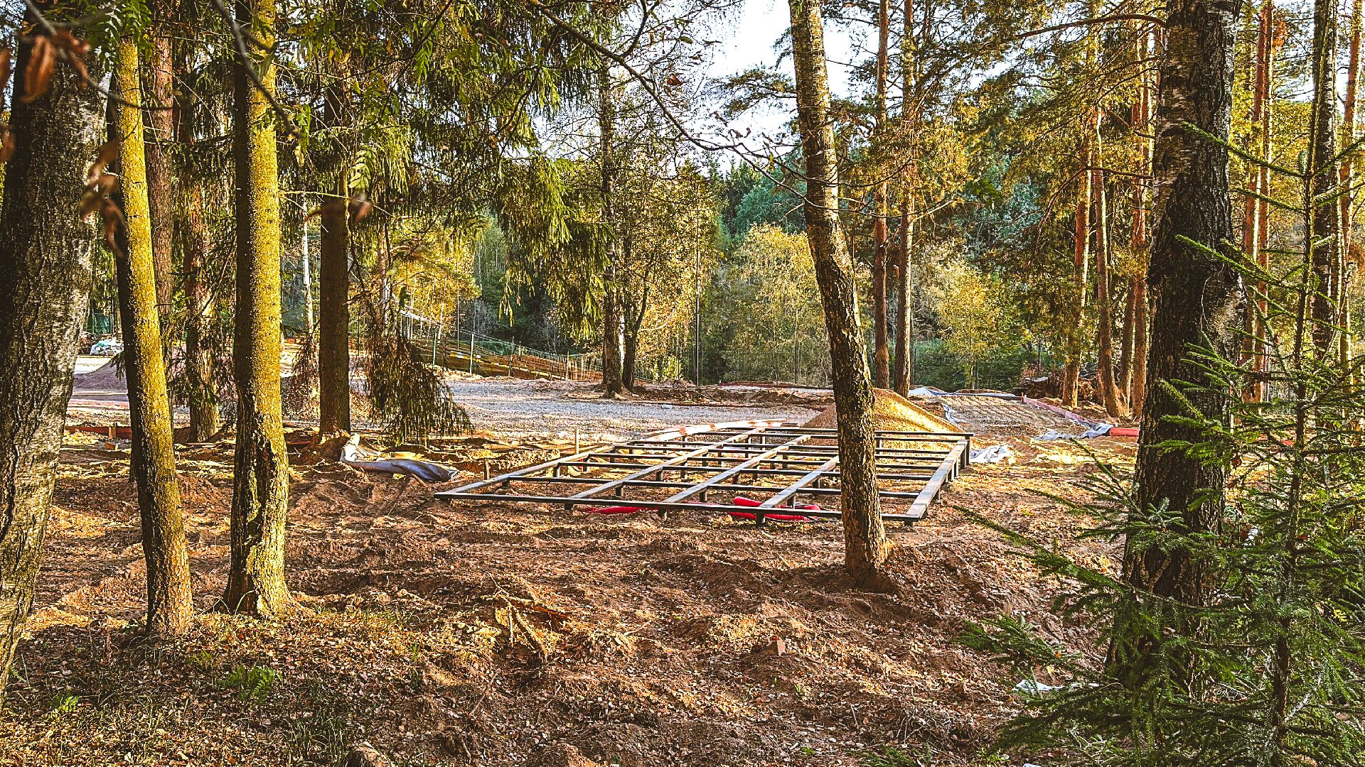 Клин, общество, Подмосковье, благоустройство, лесопарк,