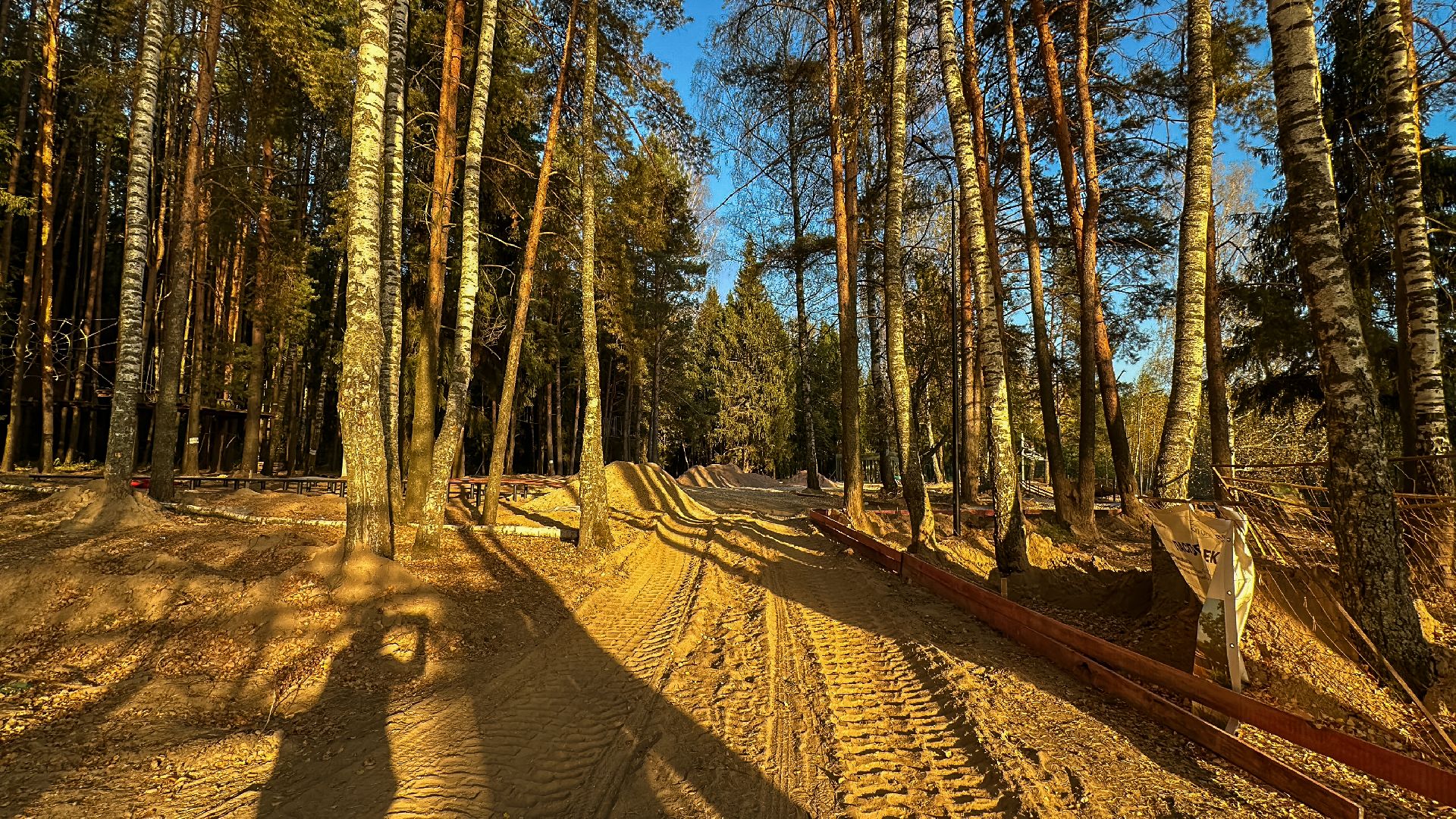 Клин, общество, Подмосковье, благоустройство, лесопарк,