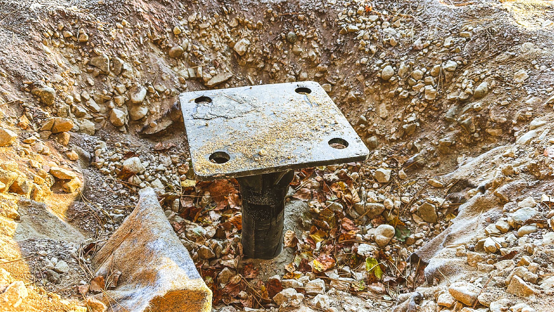 Клин, общество, Подмосковье, благоустройство, лесопарк,