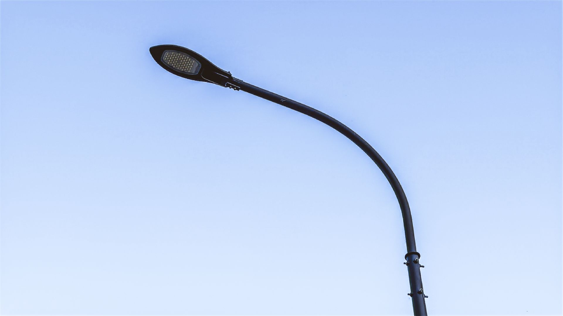 Клин, общество, Подмосковье, благоустройство, лесопарк,