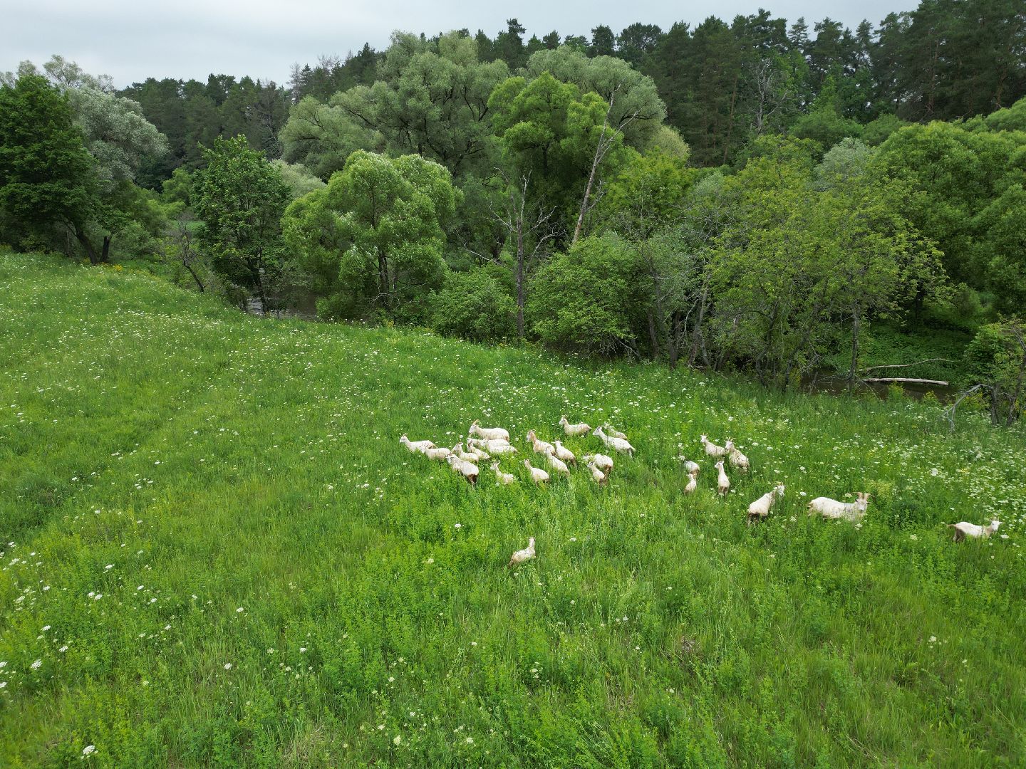 наро-фоминск, верея, видео с коптера, церковь, культура,