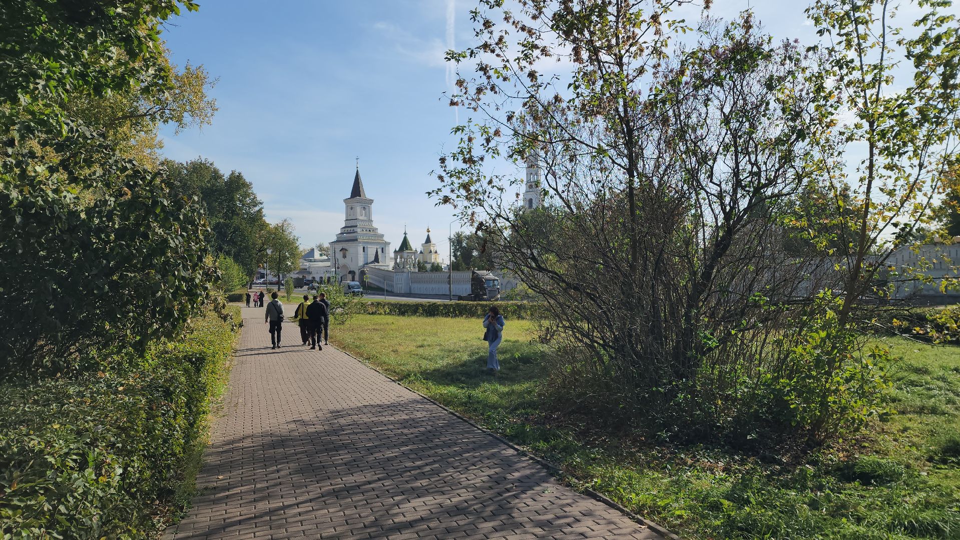 аномалия, сирень зацвела,