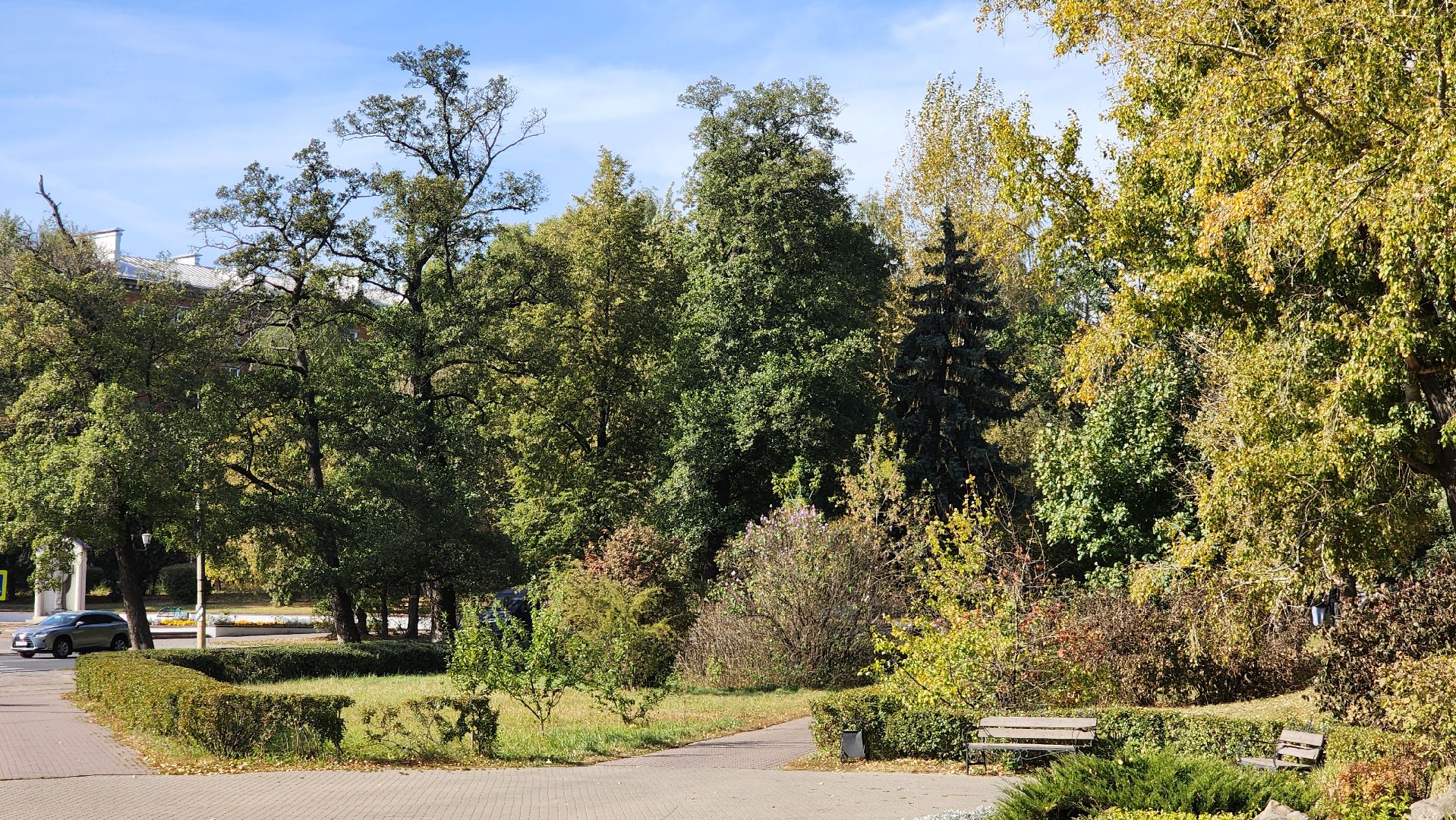 аномалия, сирень зацвела,