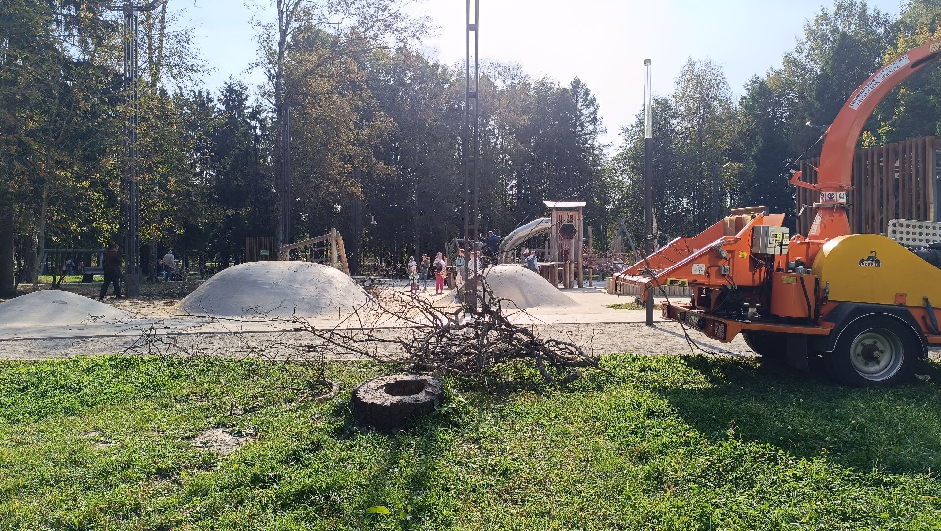 аварийные деревья, парк, лобня,