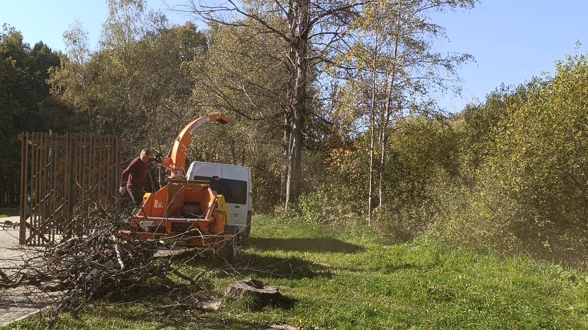 аварийные деревья, парк, лобня,