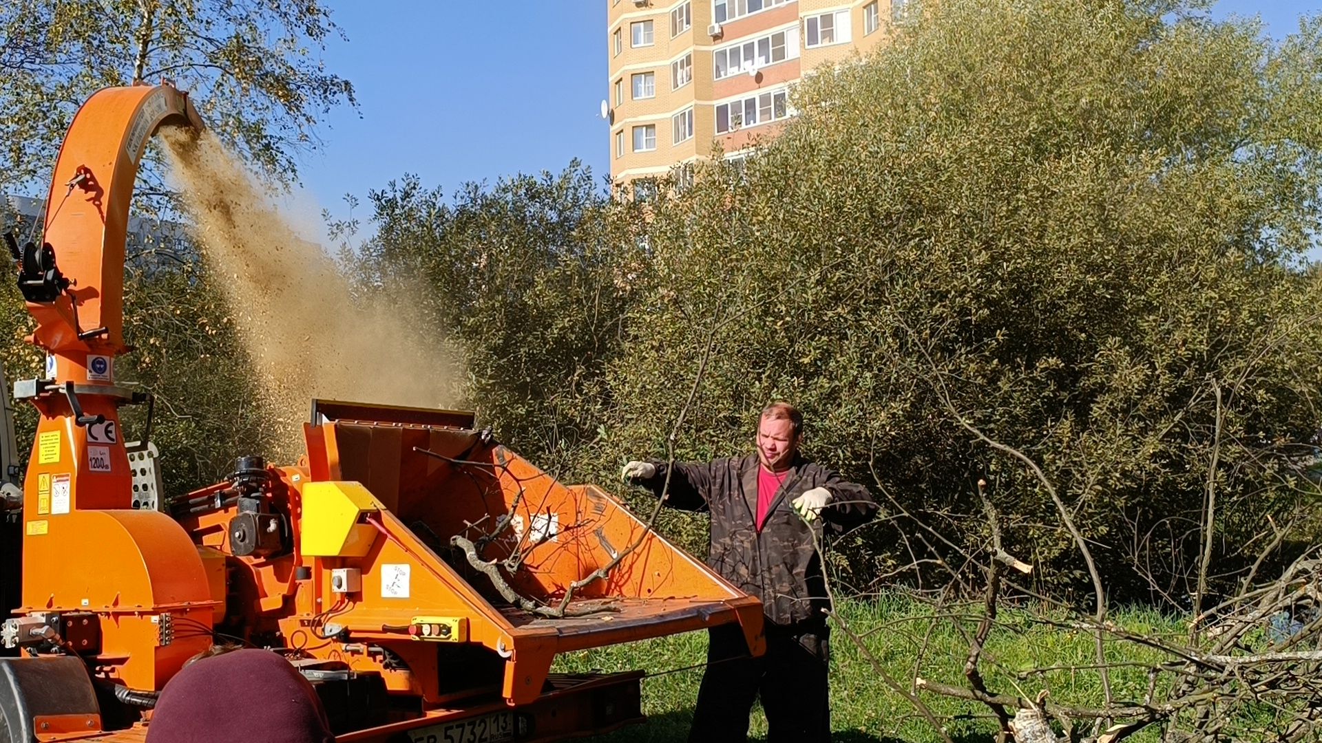 аварийные деревья, парк, лобня,