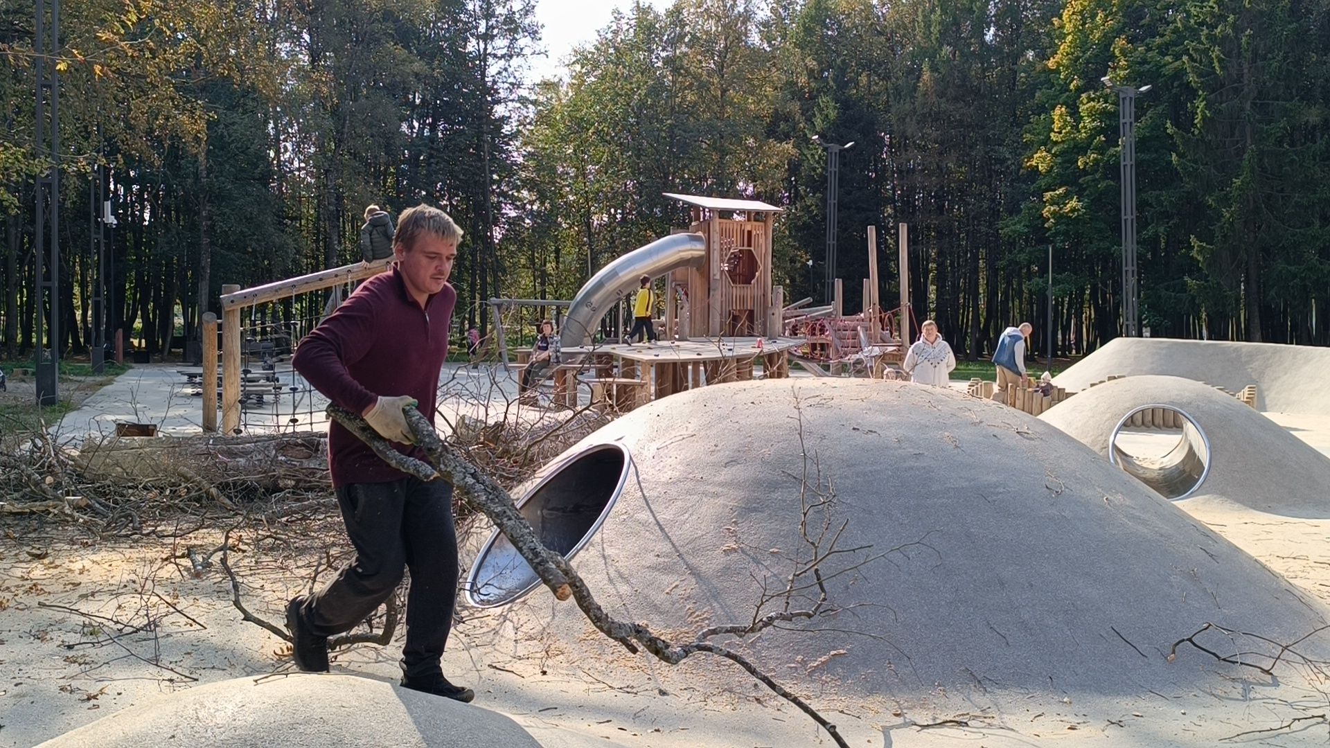 аварийные деревья, парк, лобня,