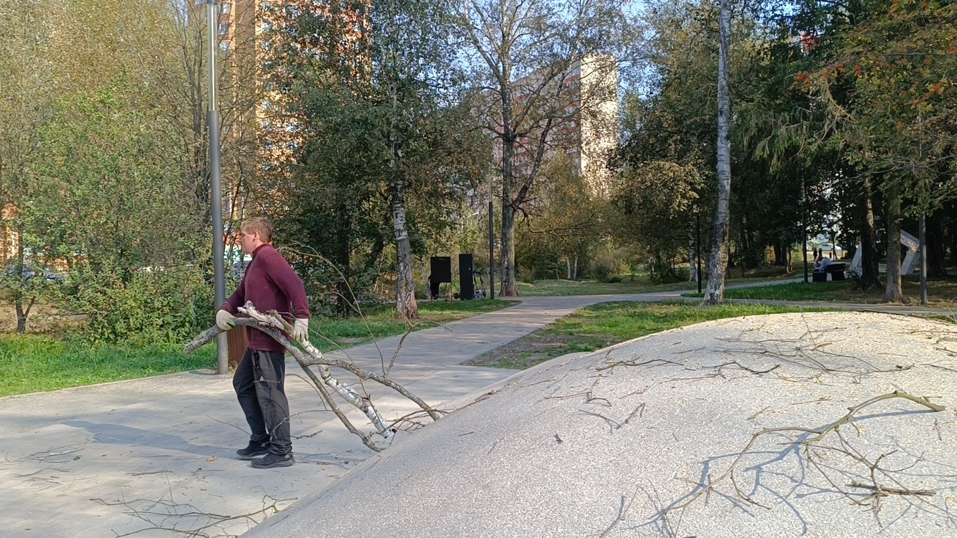 аварийные деревья, парк, лобня,