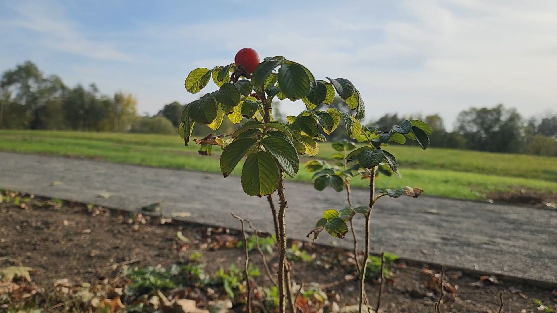 Подольск, певческое поле, Благоустройство, Дубровицы,