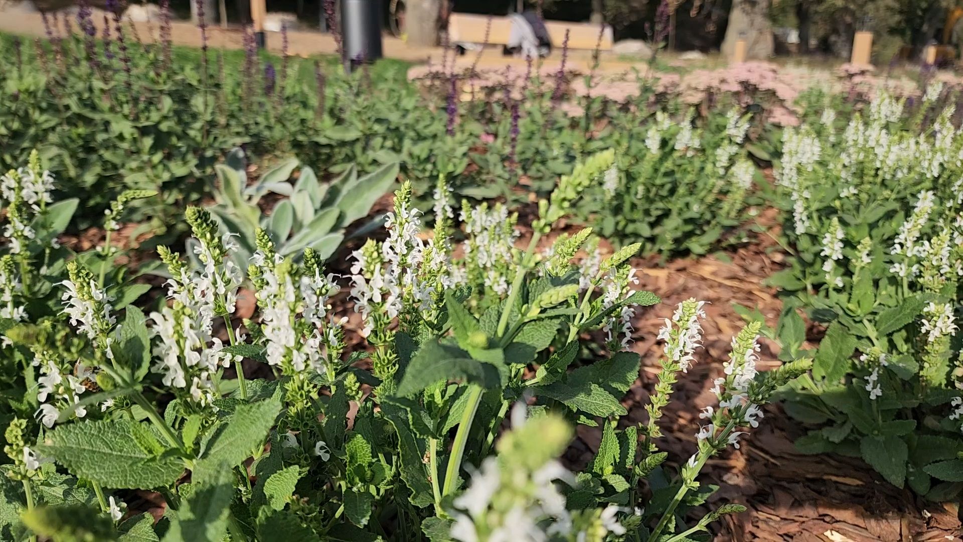 Подольск, певческое поле, Благоустройство, Дубровицы,