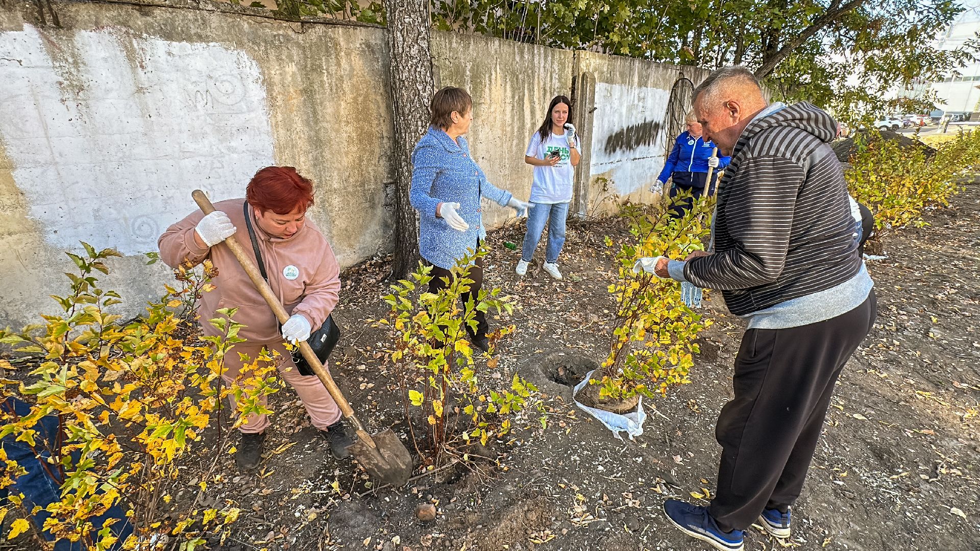 Клин, общество, благоустройство, экология,