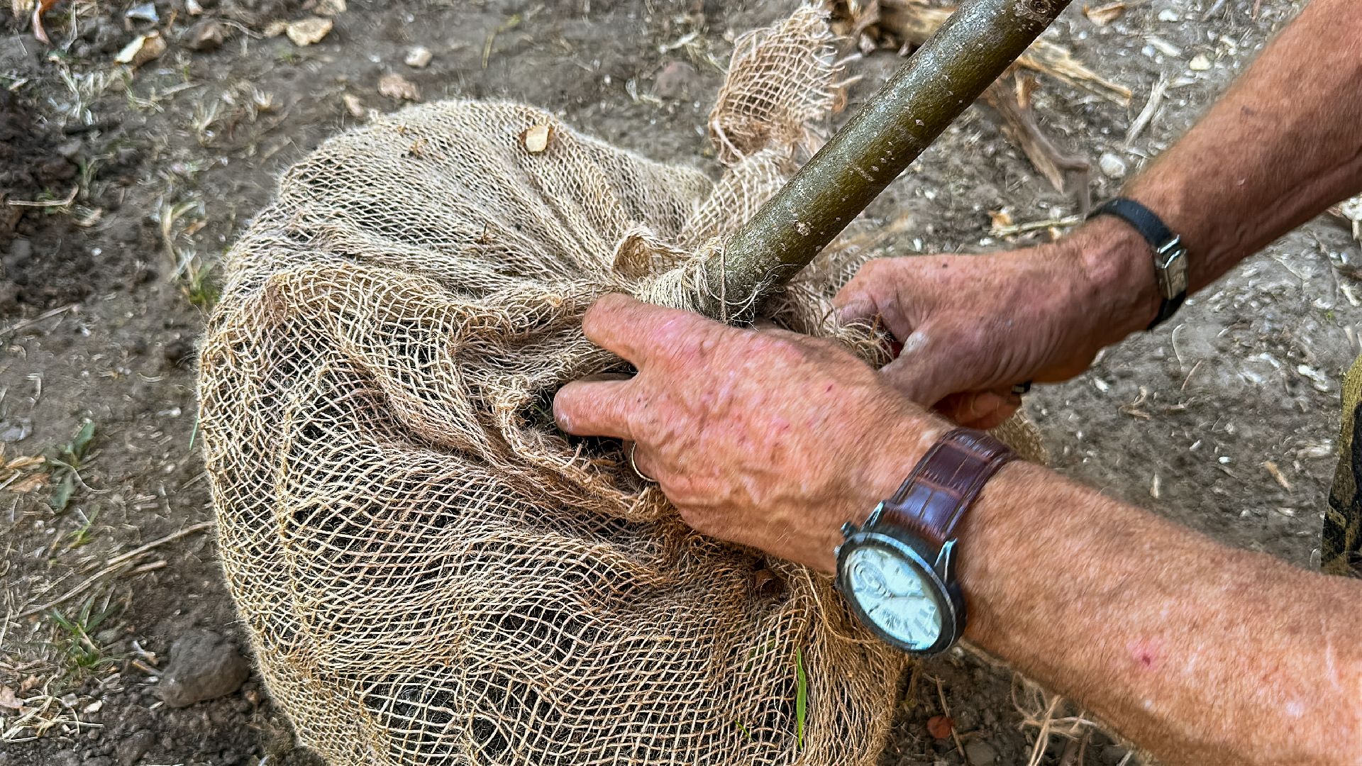 Клин, общество, благоустройство, экология,