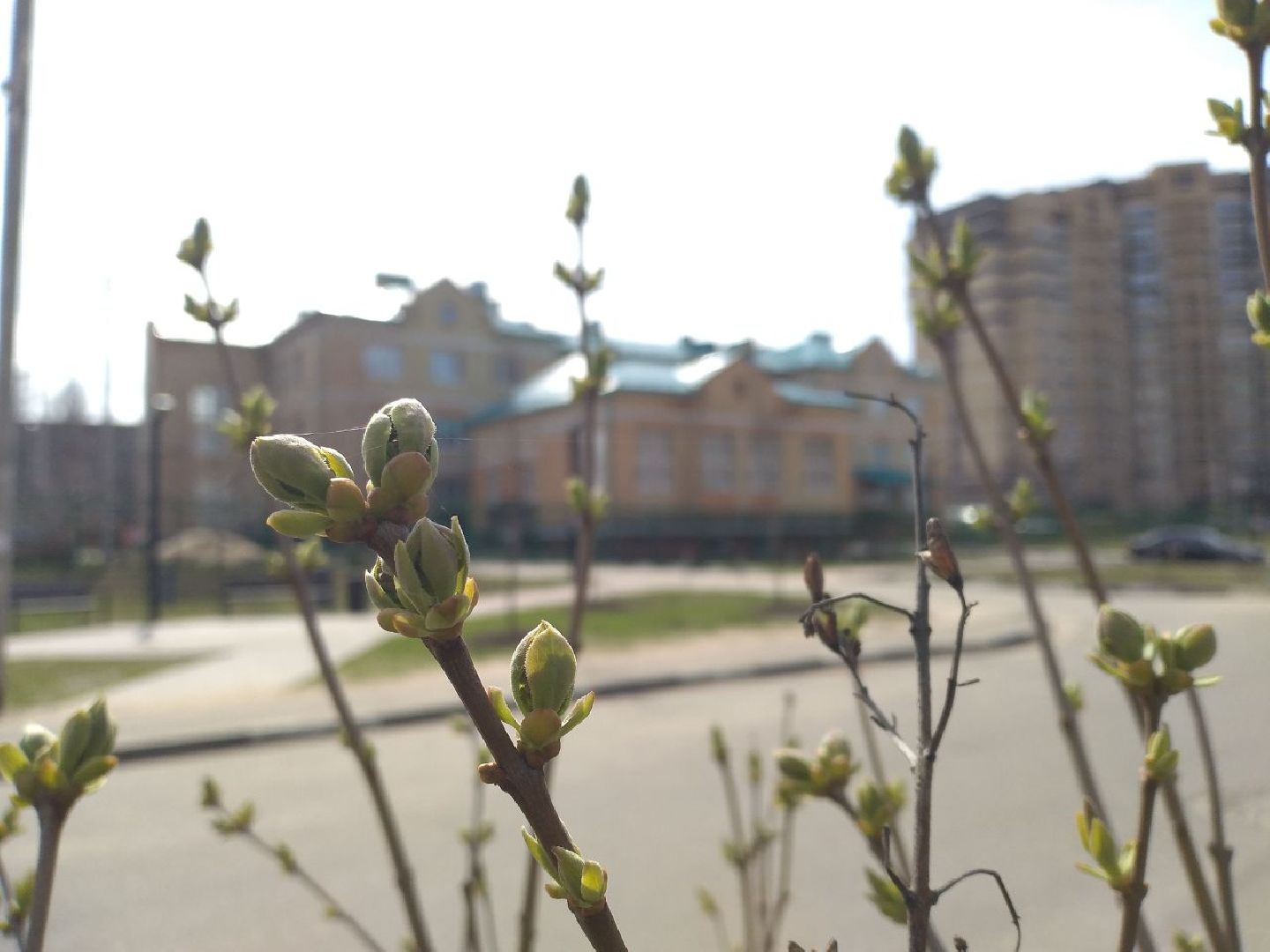 сквер, благоустройство, Лосино-Петровский