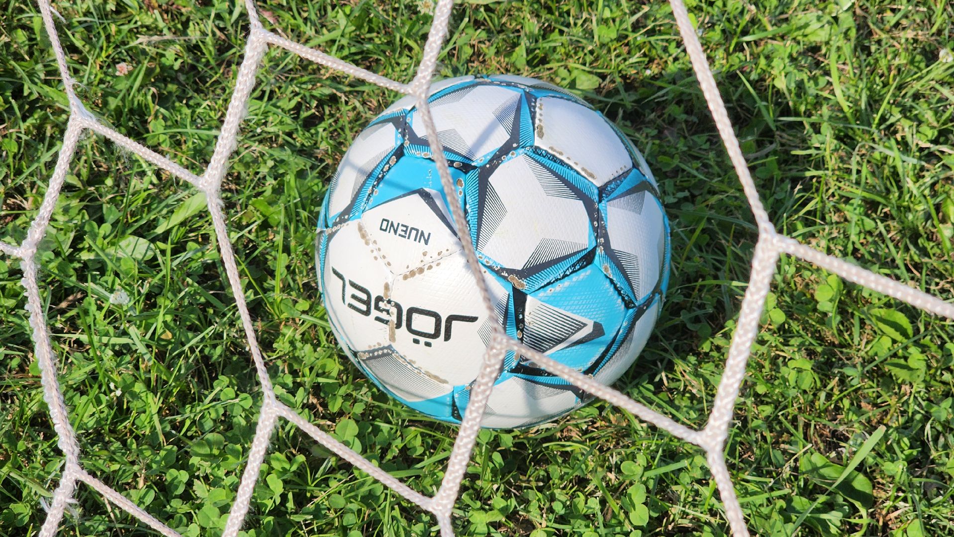 образование, день воспитателя, праздник, день дошкольного работника, Лосино-Петровский,