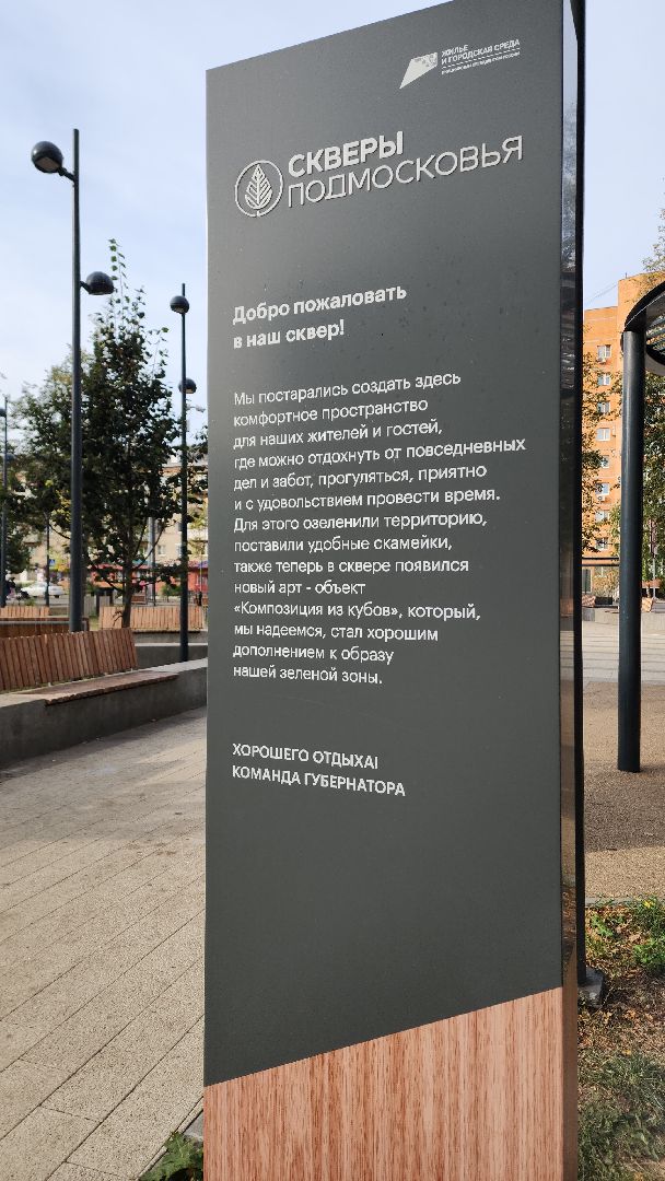 жкх, жкх и благоустройство, жкх подмосковья, экология, акция, акция день в лесу, сохраним лес вместе, глава администрации, глава городского округа Электросталь, юнармейцы, юнармия,