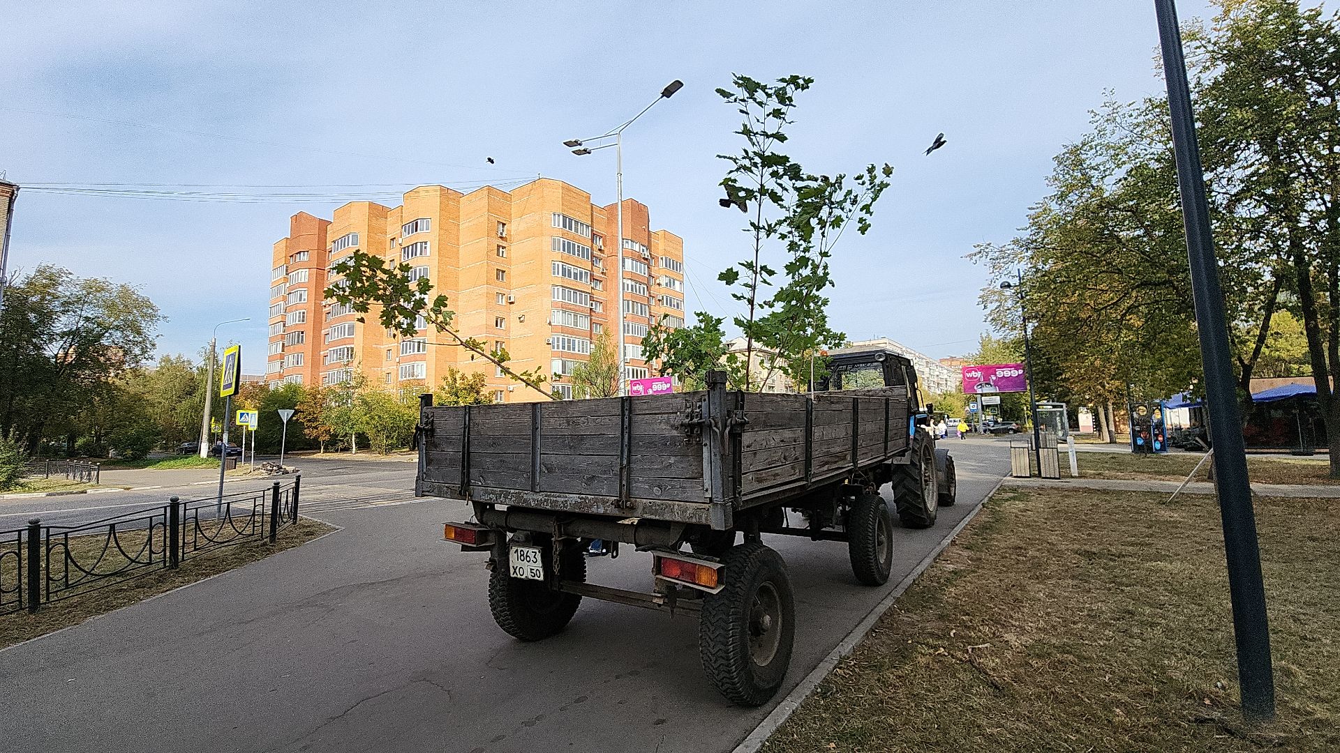 жкх, жкх и благоустройство, жкх подмосковья, экология, акция, акция день в лесу, сохраним лес вместе, глава администрации, глава городского округа Электросталь, юнармейцы, юнармия,