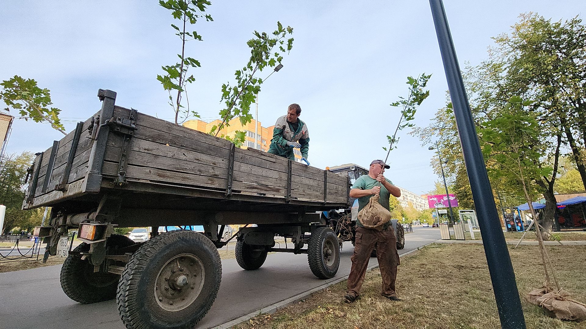 жкх, жкх и благоустройство, жкх подмосковья, экология, акция, акция день в лесу, сохраним лес вместе, глава администрации, глава городского округа Электросталь, юнармейцы, юнармия,