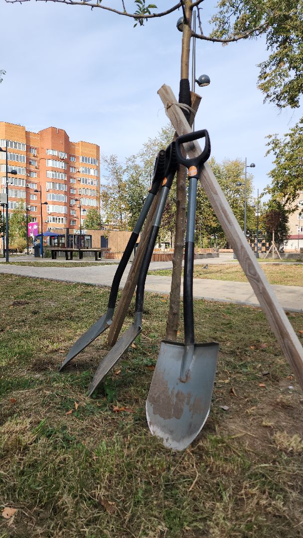 жкх, жкх и благоустройство, жкх подмосковья, экология, акция, акция день в лесу, сохраним лес вместе, глава администрации, глава городского округа Электросталь, юнармейцы, юнармия,