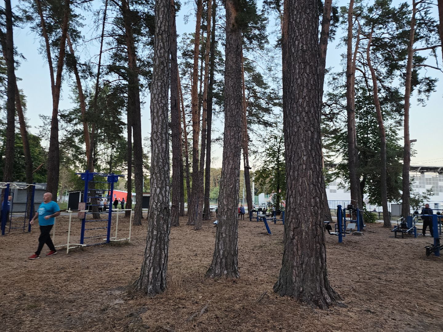 серпухов, подмосковье, стадион спартак, тренажерная площадка,