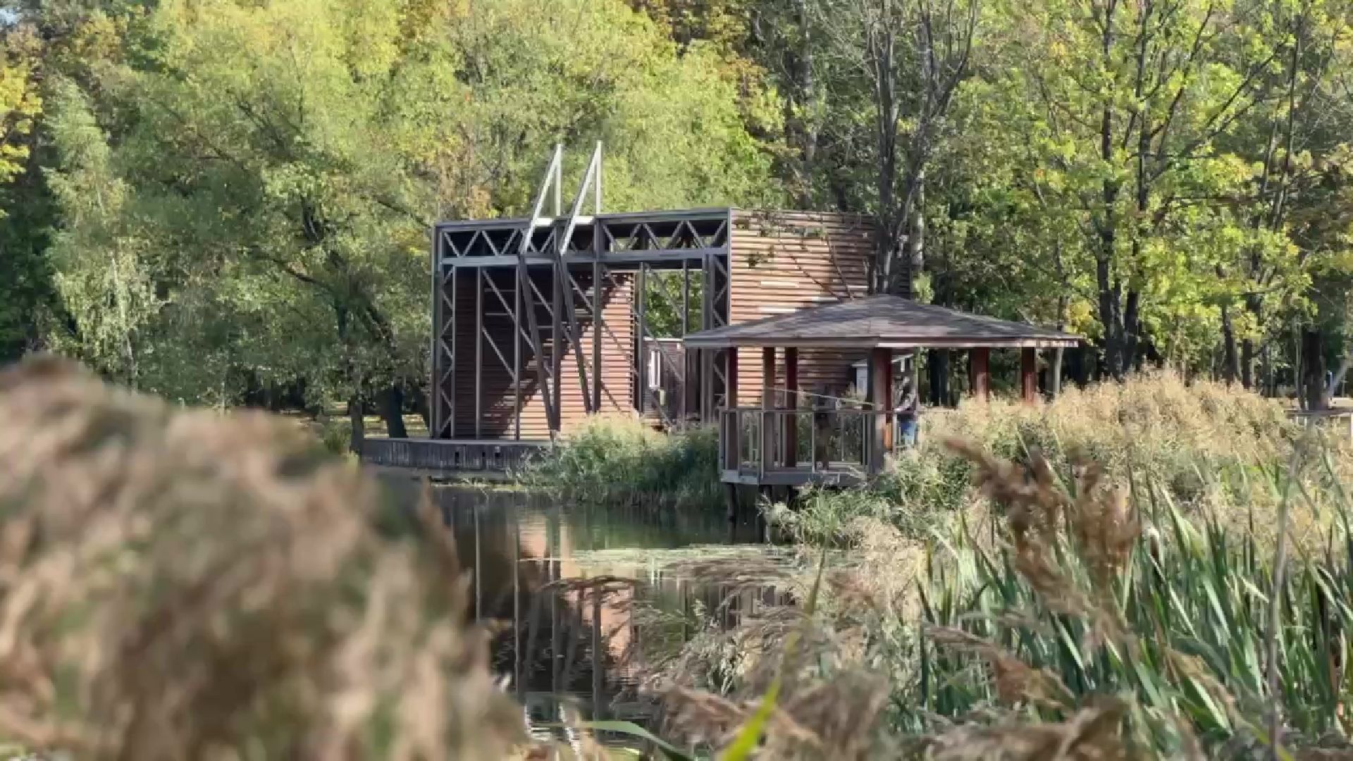 Реутов, парки, лето в Подмосковье, активности, мастер-классы, посетители,