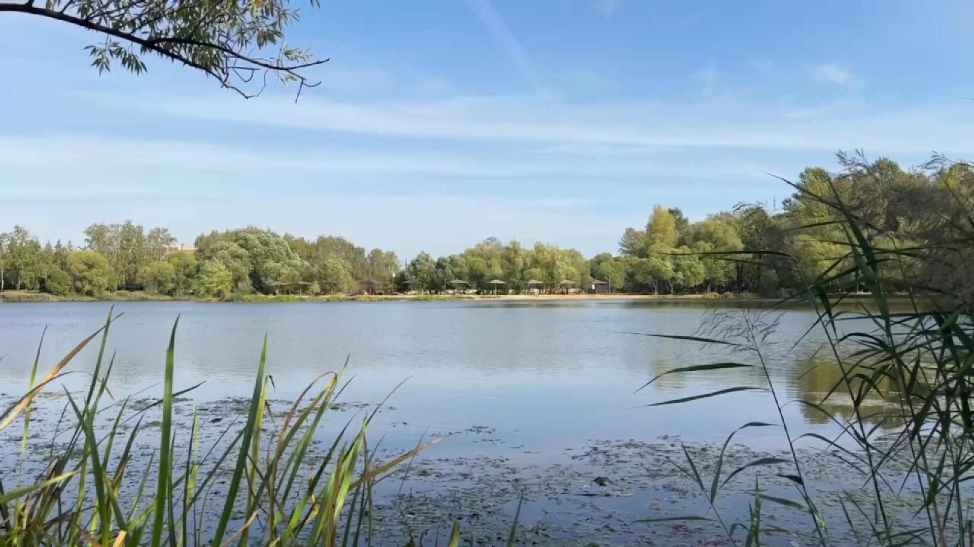 Реутов, парки, лето в Подмосковье, активности, мастер-классы, посетители,