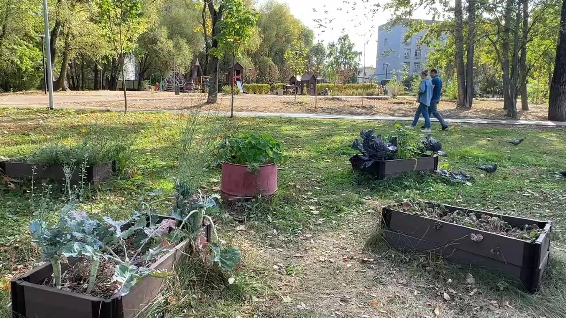 Реутов, парки, лето в Подмосковье, активности, мастер-классы, посетители,