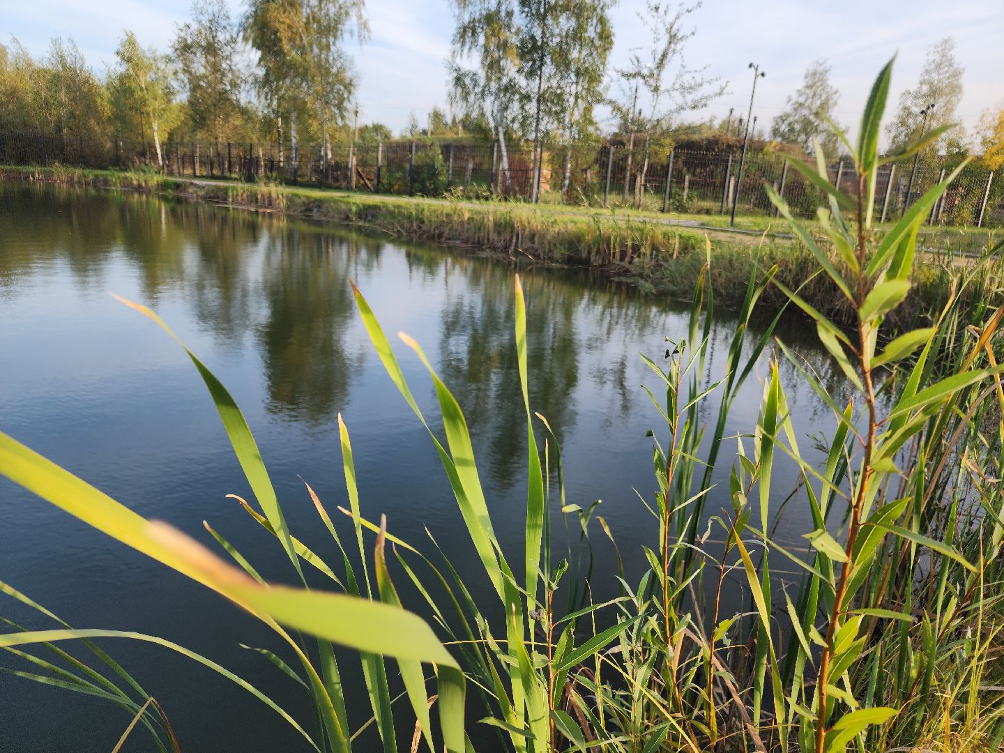парки подмосковья, ликино-дулево, орехово-зуевский округ,