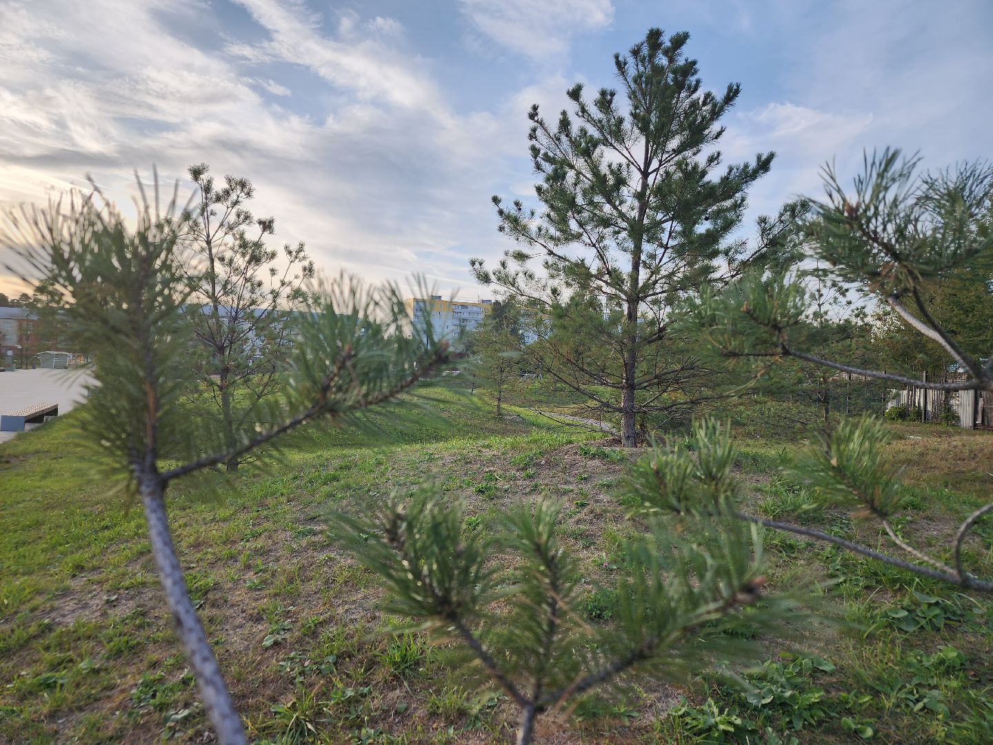 парки подмосковья, ликино-дулево, орехово-зуевский округ,