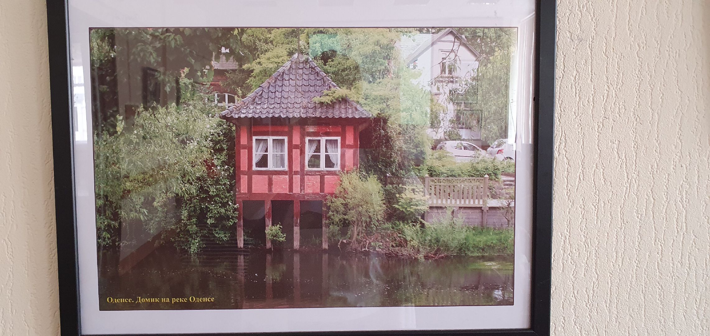 Литература, образование, младшеклассники, Дзержинский, библиотека