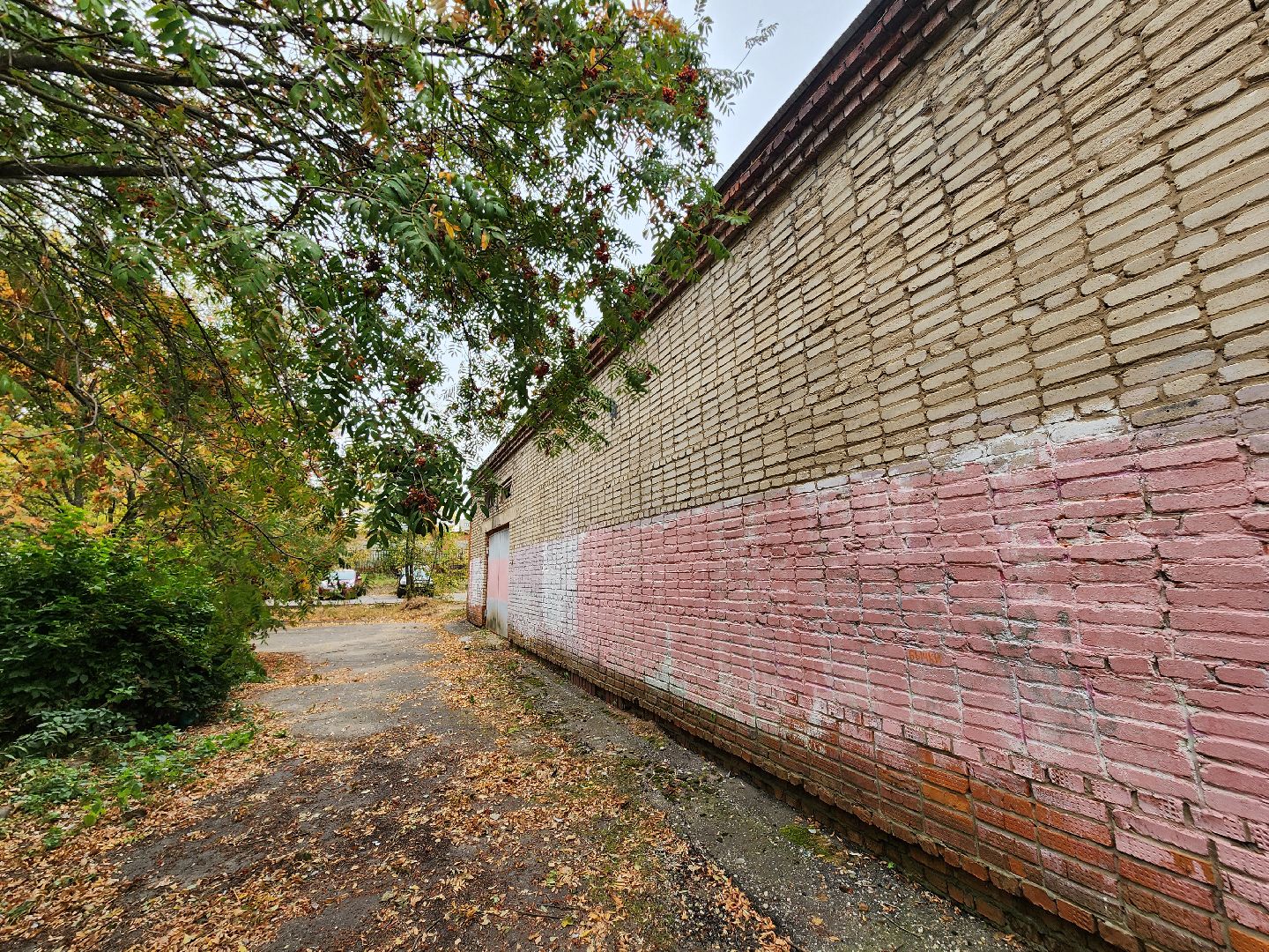 красноармейск, городской округ пушкинский, выездная администрация, развитие спорта,