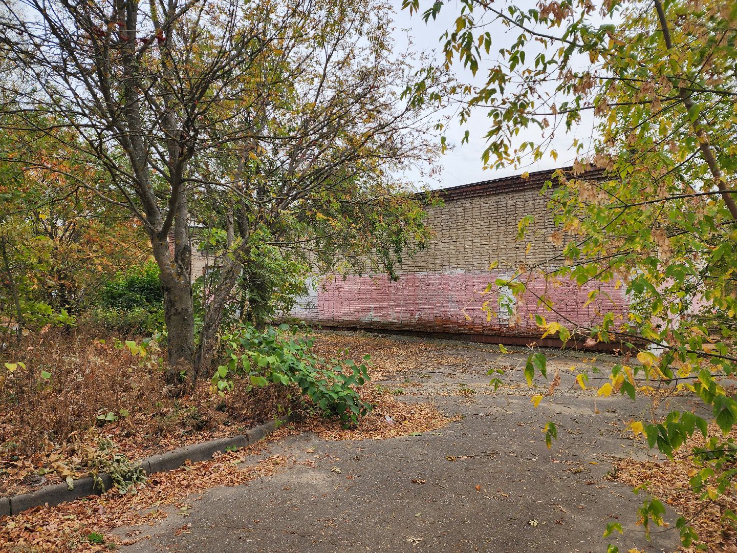 красноармейск, городской округ пушкинский, выездная администрация, развитие спорта,