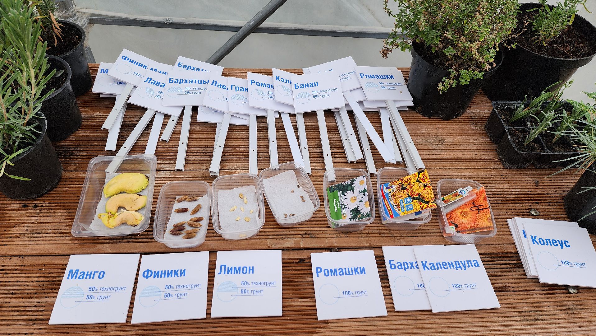 Солнечногорск, экология, КПО Нева, мусор, аграрный эксперимент,