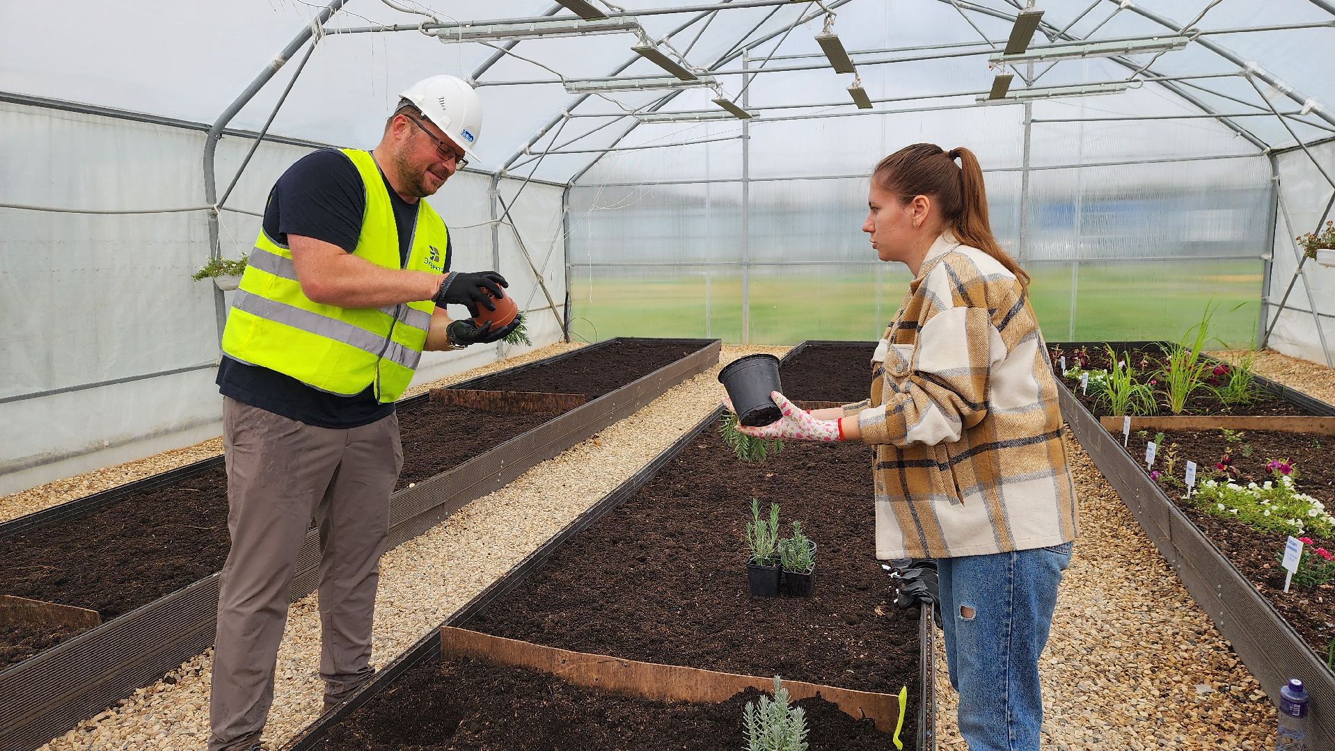 Солнечногорск, экология, КПО Нева, мусор, аграрный эксперимент,