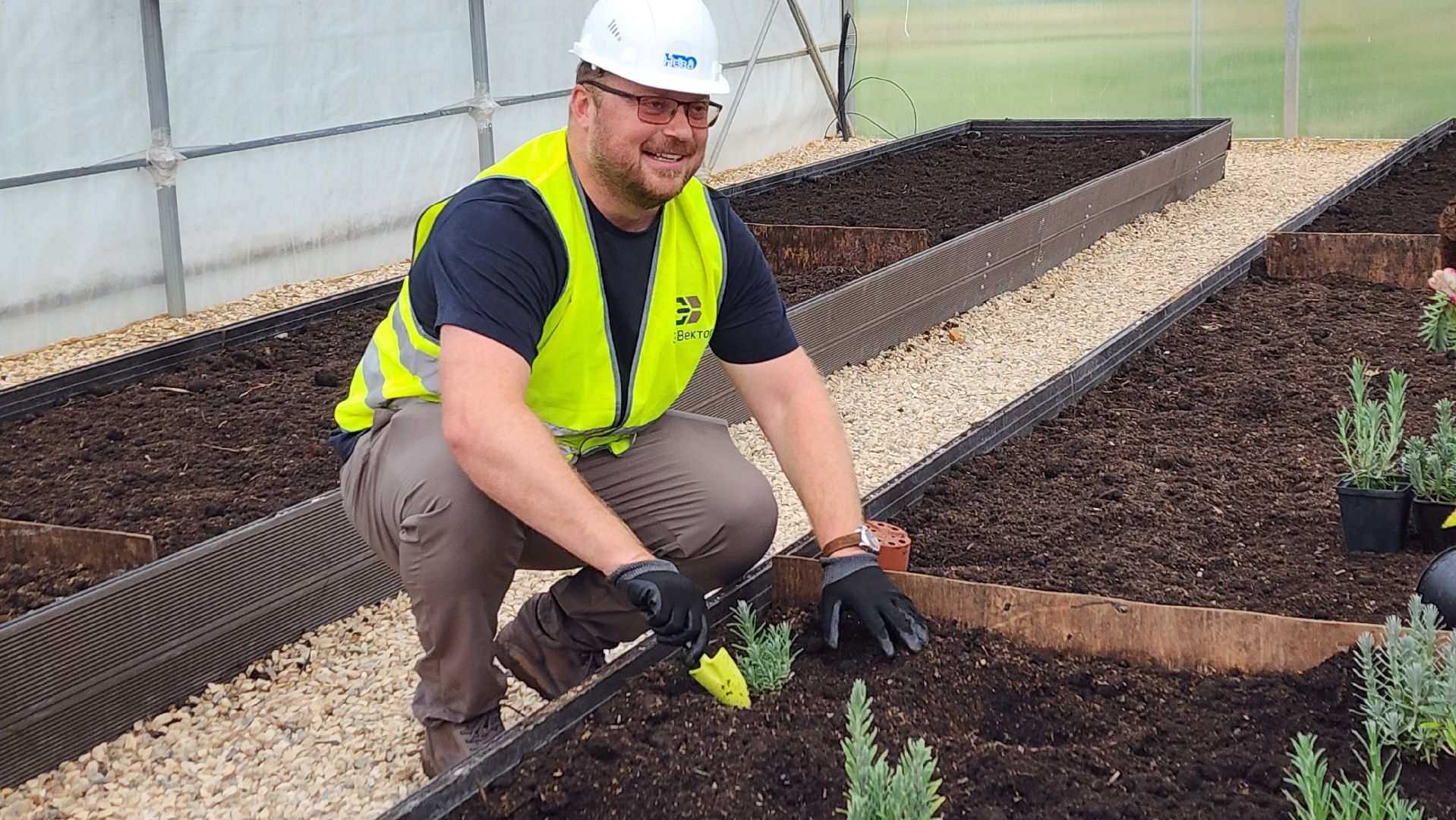 Солнечногорск, экология, КПО Нева, мусор, аграрный эксперимент,