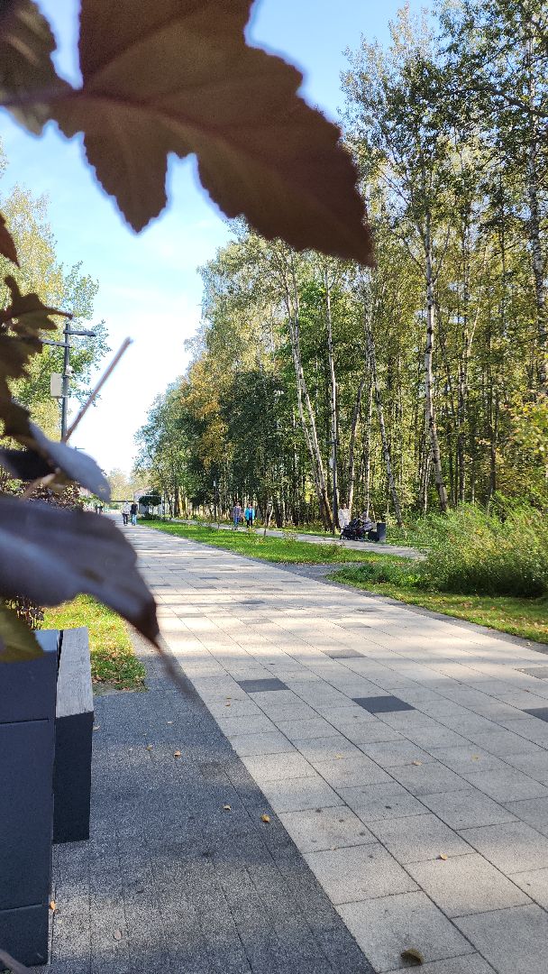 парк, парк авангард, электросталь, культура, культура и туризм в подмосковье, летний сезон, осеньвпарке, благоустройство, благоустройство 2024,