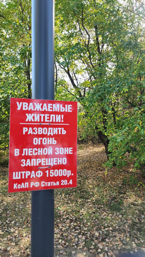 парк, парк авангард, электросталь, культура, культура и туризм в подмосковье, летний сезон, осеньвпарке, благоустройство, благоустройство 2024,