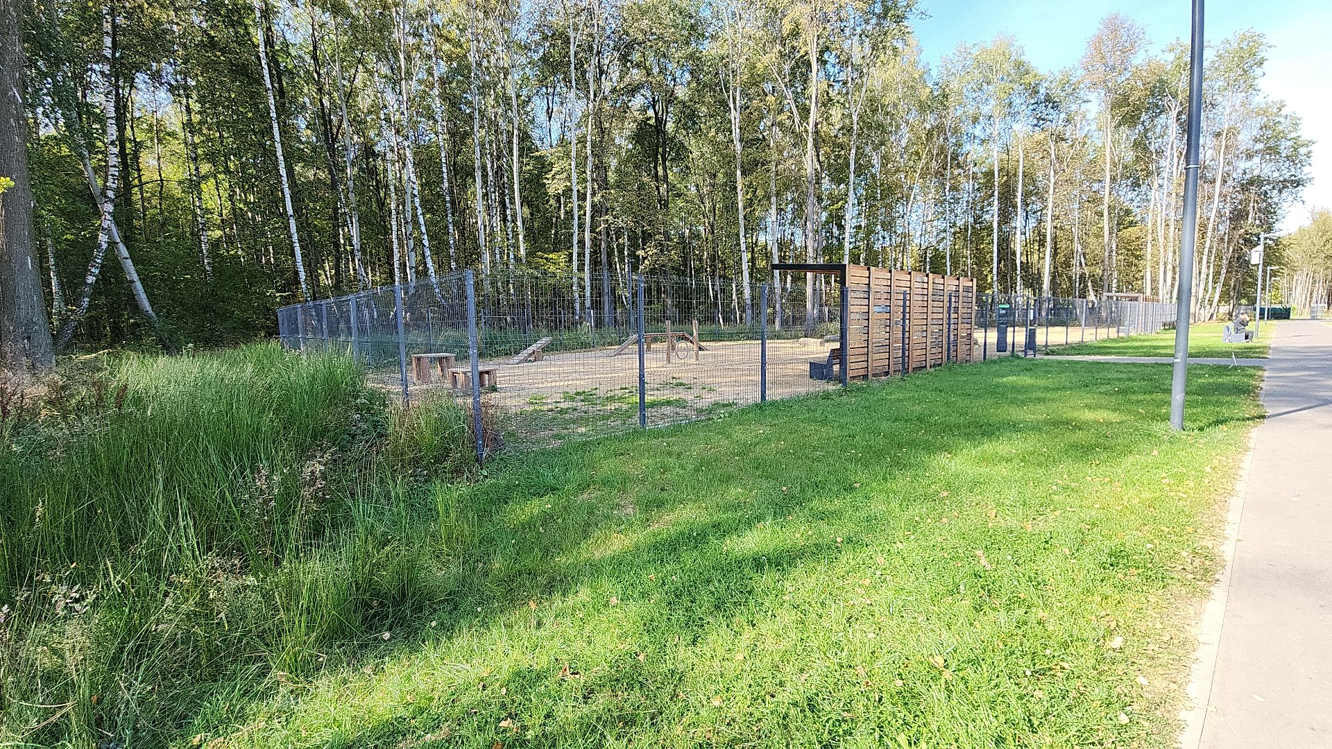 парк, парк авангард, электросталь, культура, культура и туризм в подмосковье, летний сезон, осеньвпарке, благоустройство, благоустройство 2024,